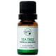 thumbnail image 1 of Aceite Esencial de Tea Tree, 1 of 1