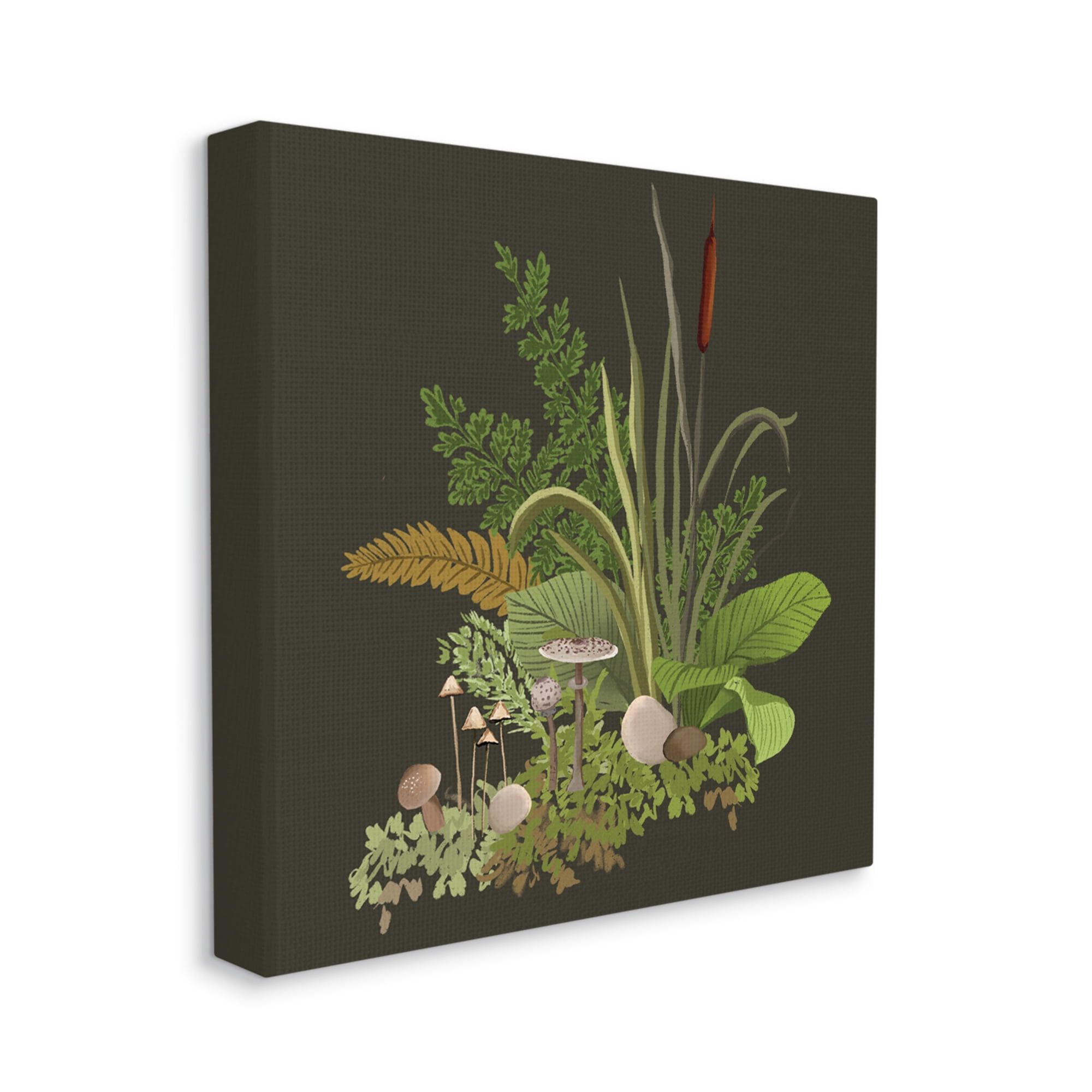 Stupell Industries Forest Botanicals Plants Ferns Mushrooms Sprouting Graphic Art Gallery Wrapped Canvas Print Wall Art, Design by House of Rose