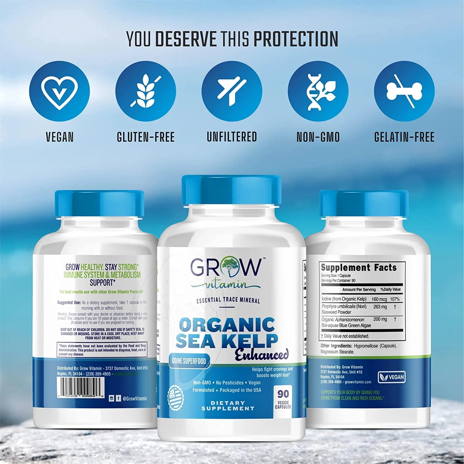 Organic Sea Kelp (Icelandic) Enhanced - Pure Healthy Thyroid Support Natural Iodine Supplement w/Organic Sea Kelp, Blue-Green Algae Red Algae - Immune System Metabolism Support - 90 Capsules