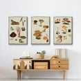 thumbnail image 6 of Mushroom Species IV - Framed Premium Gallery Wrapped Canvas L Frame 3 Piece Set - Ready to Hang, 6 of 9