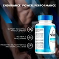 thumbnail image 5 of VirilBlue Pills, Viril Blue ME Natural Formula to Support Confidence, Daily Health Supplement, Premium Capsules for Long-Lasting Energy, Official Reviews&nbsp; (60 Capsules), 5 of 6