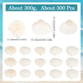 thumbnail image 2 of 300 piezas de conchas marinas pequeñas, adornos de conchas marinas naturales de verano, playa, mar, océano, animales, sin agujero, adorno de cuentas sin perforar, 2 of 6