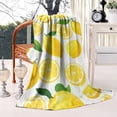 thumbnail image 2 of Lemon Blanket,Comfortable Soft Flannel Throw Blanket,All Season,Warm Lightweight Blankets for Sofa Bed Couch Living Room Chair,60"x80"(150x200cm), 2 of 4