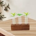 thumbnail image 3 of 1 Set Transparent Propagation Tube for Plant Propagation and Terrarium Accessory, 3 of 5