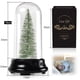 thumbnail image 2 of Árbol De Navidad En Cúpula Mini Árbol De Navidad Con Cubierta De Cristal De Luz Led Decoración De Árbol De Vacaciones Exhibición De Mesa Estatuilla De Árbol Decoración De Fiesta sonducket HA038004-00, 2 of 6