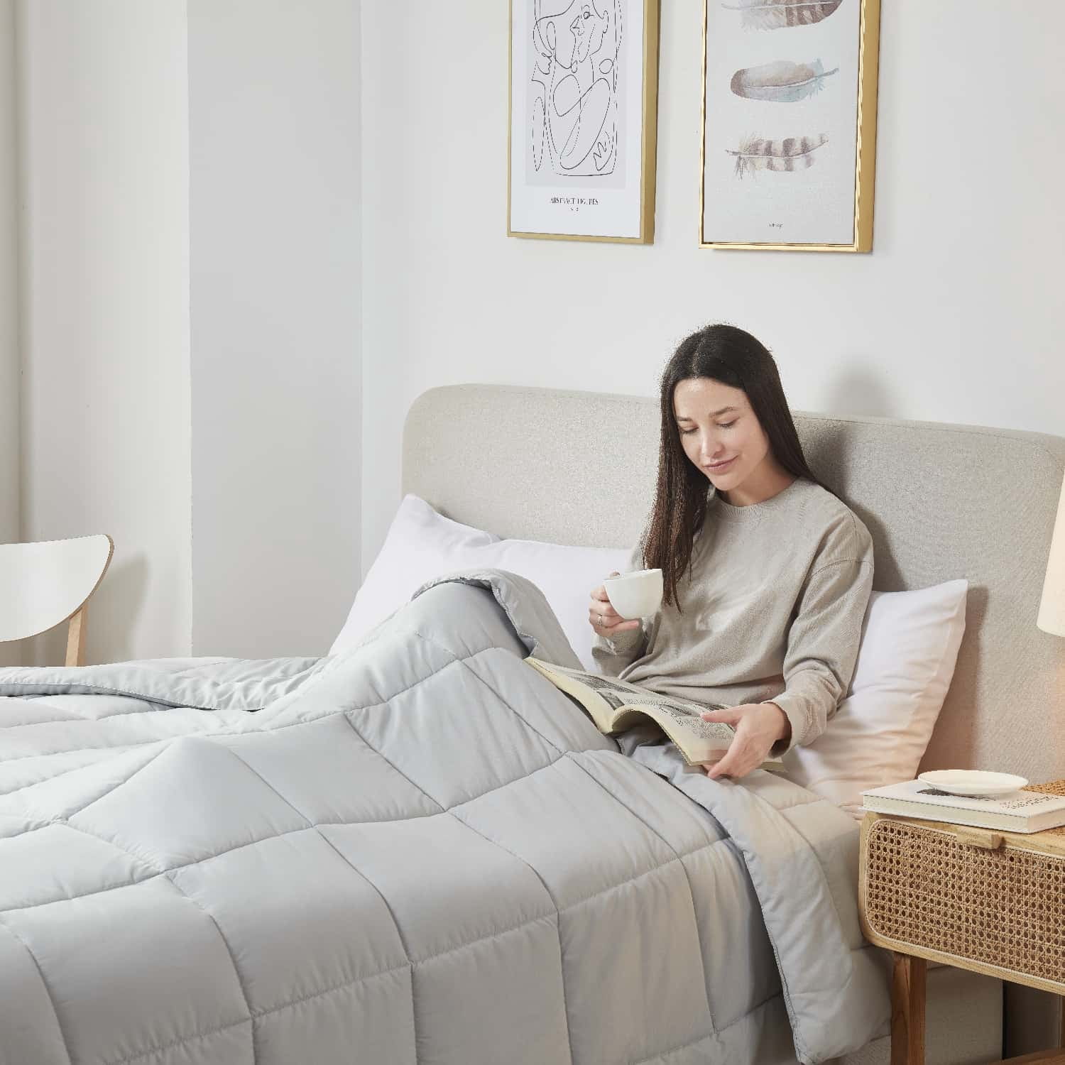 LammaLoe Queen Comforter, Quilted Down Alternative Comforter, All Season Duvet Insert with Corner Tabs,Light Gray