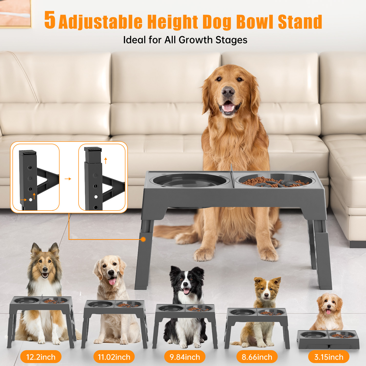 Cshidworld 2-in-1 Elevated Slow Feeder Adjustable Bowl photo 3