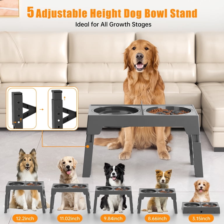 Cshidworld Adjustable Elevated Dog Bowl with Slow Feeder photo 3