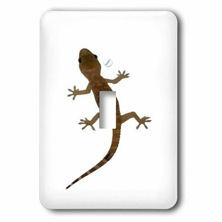 Plated Gecko - 3dRose Mediterranean House Gecko Vector Socket Plate