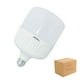 thumbnail image 1 of Foco Led Alta Potencia Omnidireccional 40W Luz Dia 100Pz, 1 of 3