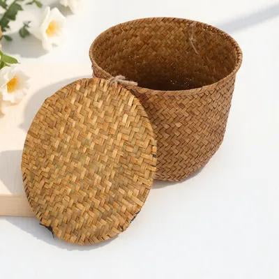 LOLIPPYY Seagrass Woven Storage Basket with Lid, Decorative Organizer Bin for Shelves and Home Storage
