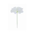 thumbnail image 1 of Naiovety 10 piezas cabezas de flores artificiales oficina comedor Bar cumpleaños graduación fiesta boda centros de decoración ramos Flores artificiales Blanco, 1 of 6