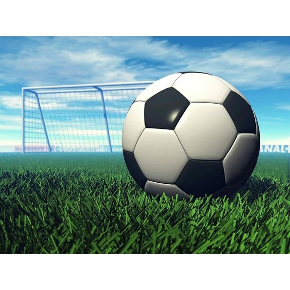 Soccer-Ball 2 - CANVAS OR FINE PRINT WALL ART