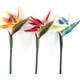 thumbnail image 5 of 32.5 pulgadas grande elegante pájaro del paraíso flor artificial para oficina en casa 3 piezas, escarlata Sincero  Hogar, 5 of 5