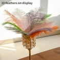 thumbnail image 7 of 10Pcs/lots Colored Ostrich Feathers 15-35cm for Wedding Party Decor DIY Handicraft Accessories Table Centerpieces, 7 of 7