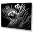 thumbnail image 2 of Designart "Monochrome Clownfish Group" Coastal Coral Under Water Wall Art Prints, 2 of 7