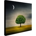 thumbnail image 2 of Trademark Fine Art "Under the Moon" Canvas Art by Philippe Sainte-Laudy, 2 of 2