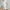 White, variant on Admvng Womens Capri Pants Casual Summer Stretch Pants Bottom Slits Design with Buttons Trim S-3XL
