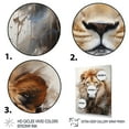 thumbnail image 3 of Designart "A Captivating Lion Portrait in Photography" Animals Floater Framed Wall Art Living Room, 3 of 7