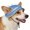 Blue, variant on Cute UV-Protective Sun Hat for Dogs and Cats - Breathable Mesh with Bowknot for Outdoor Fun