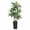 #264Black, variant on 5-Foot Artificial Dracaena Plant, Realistic Tropical Floor Tree for Indoor Outdoor, No Watering No Sunlight Maintenance-Free, Ideal for Living Room Office Corner Decor