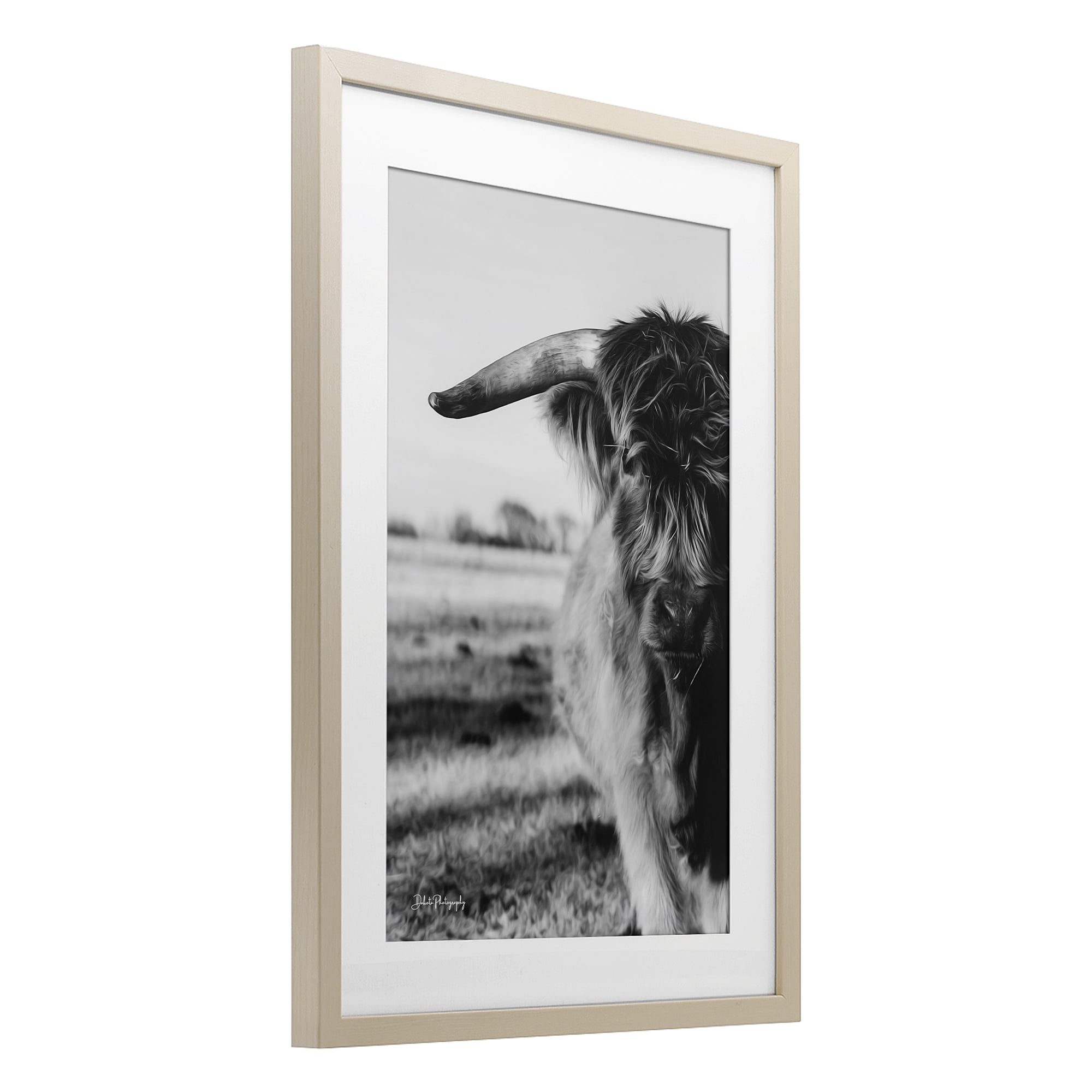 Stupell Industries Baby Cattle in Monochrome Birch Framed Print Under Glass, design by Dakota Diener