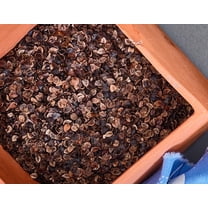 White Lotus Home Buckwheat Hulls Pillow & Cushion Fill - 25 lbs