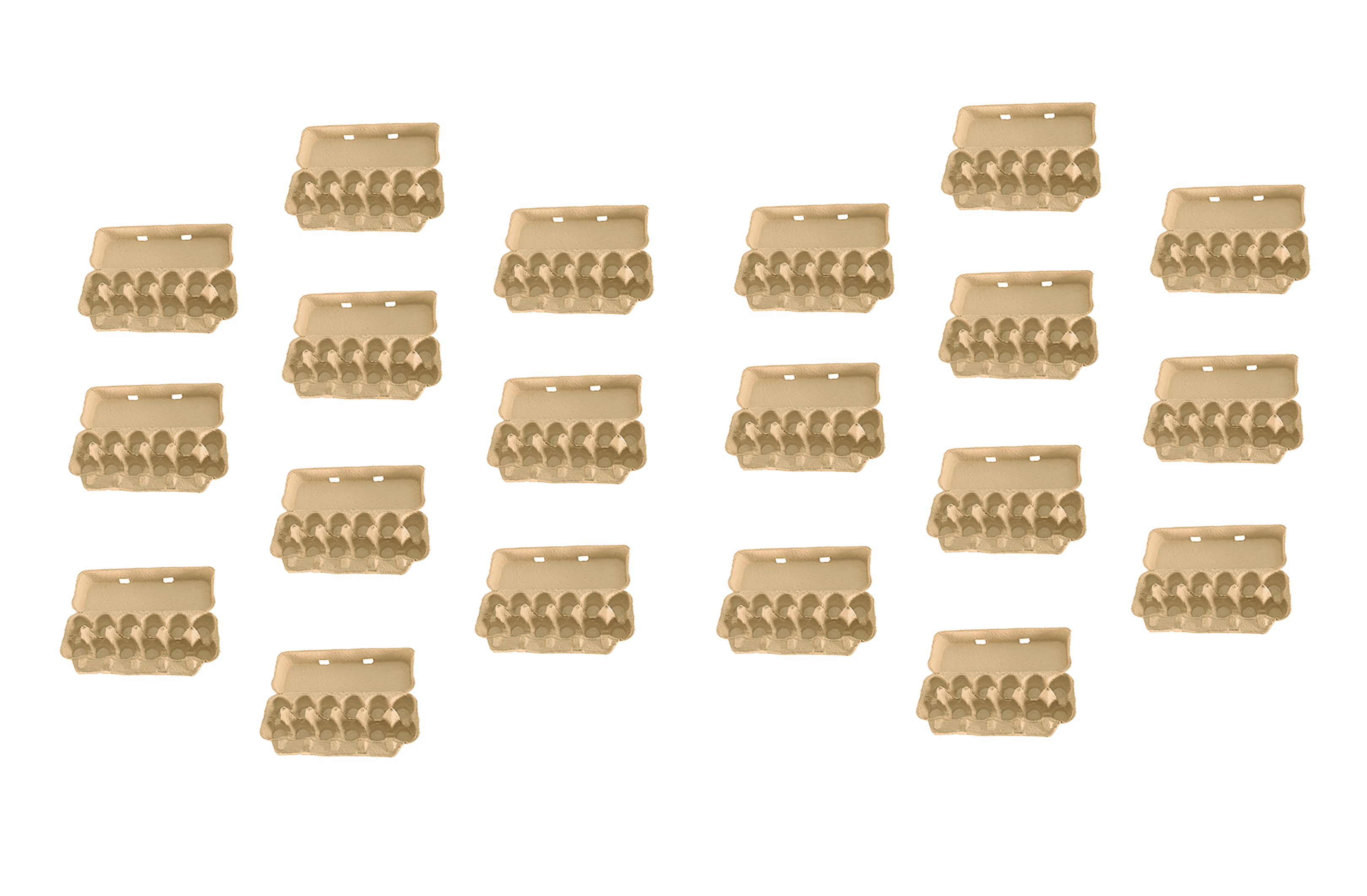 Little Giant Solid Top Egg Carton Pack of 20 - EGGCTNSLD