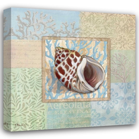 Paul Brent 36x36 Gallery Wrapped Canvas Wall Art Titled - Oceanic Shell Collage I