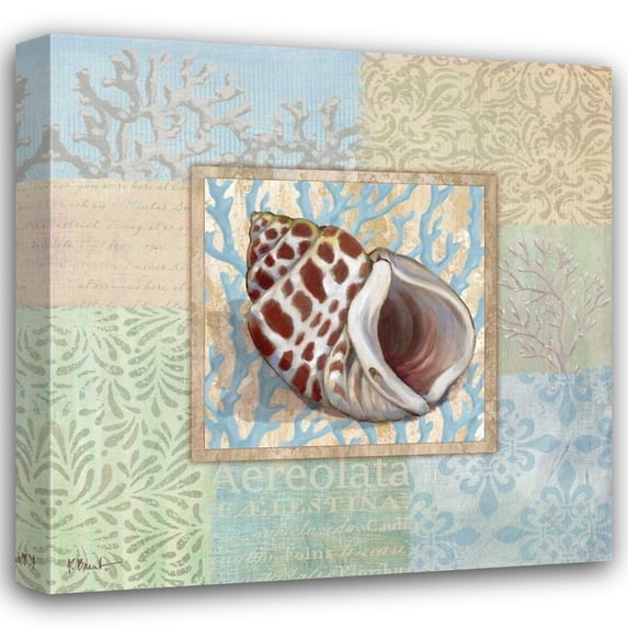 Paul Brent 36x36 Gallery Wrapped Canvas Wall Art Titled - Oceanic Shell Collage I