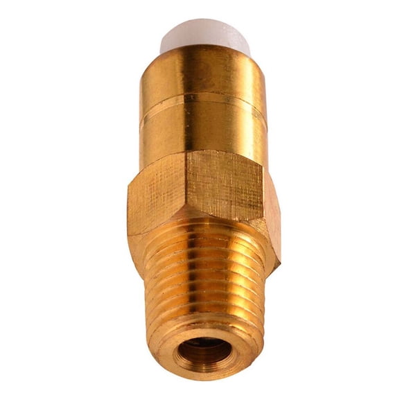 Flexible Installation Thermal Relief Valve For Homelite Pressure Washer