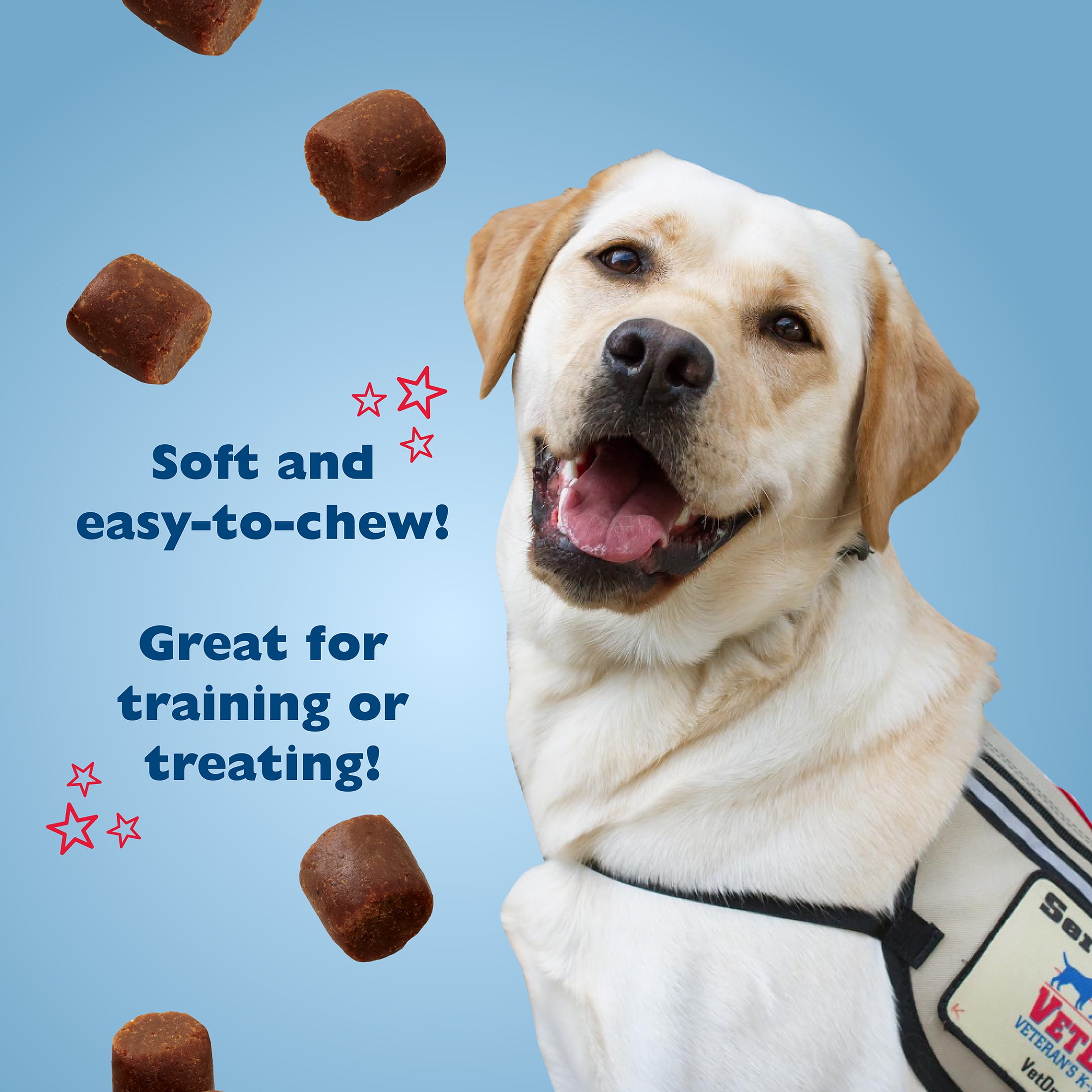 (2 pack) Bil-Jac VetDogs Veteran's K-9 Corps Training Treat for Dogs, Peanut Butter Flavor, 4 oz.