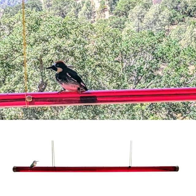 Comedero para colibríes DYNWAVEMX con Orificio para pájaros Tubo rojo 60cm