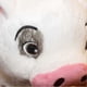 thumbnail image 4 of 22cm Moana Haustier Schwein Pua Kuscheltiere Cute Cartoon Plschtier, 4 of 5