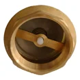 thumbnail image 3 of Pichancha de 3/4 Pulgadas Válvula de Pie en Bronce, Pumps, 3 of 3