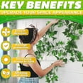 thumbnail image 5 of Plant Wall Clips for Climbing Plants 60 Pcs - Pothos Plant Climber Support, Large, Medium, Small Sizes Wall Clips for Support, Strong Self-Adhesive, For  Cable Management & Plant Holder, 5 of 17