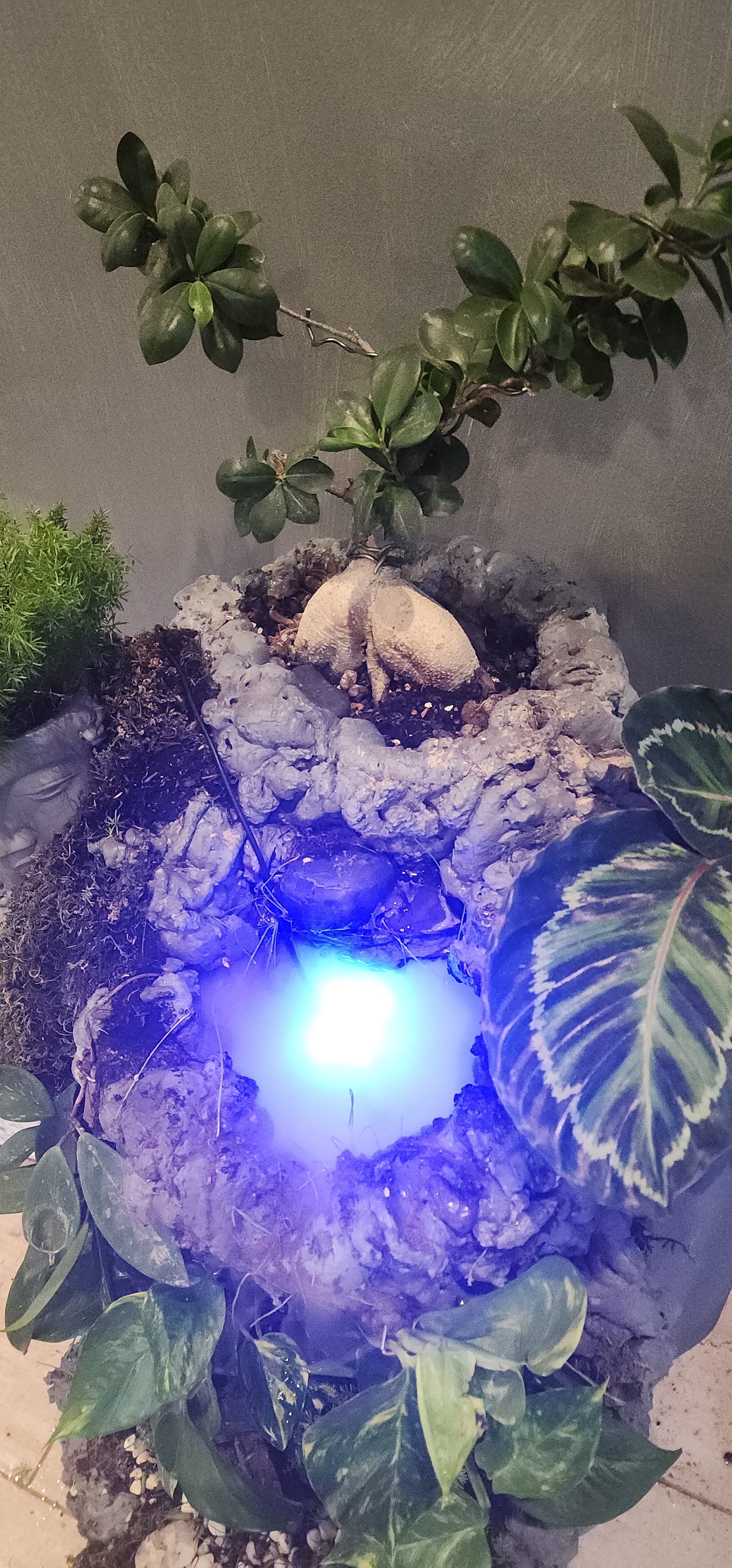 Decorative Terrarium Planter Waterfall Fountain with Stone Design, Live Mixed Plants, Indoor Garden Display, 58 Inch