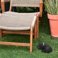 thumbnail image 1 of QUMIIRITY 1Pack Black Resin Key Hider Box for Home Security Outdoor Use Realistic Design Puppy, 1 of 6