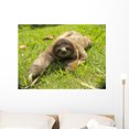 thumbnail image 1 of Cute Three Toe Sloth Wall Mural by Wallmonkeys Peel and Stick Graphic (36 in W x 27 in H) WM53911, 1 of 4