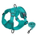 thumbnail image 2 of PayUSD Dog Harness with Leash Cat Harness No Pull Adjustable No Choke Pet Vest for Small Dogs Cats, 2 of 9