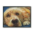 thumbnail image 2 of Stupell Industries Golden Retriever Begging Eyes Expressive Dog Portrait,20 x 16, Design by Kamdon Kreations, 2 of 5