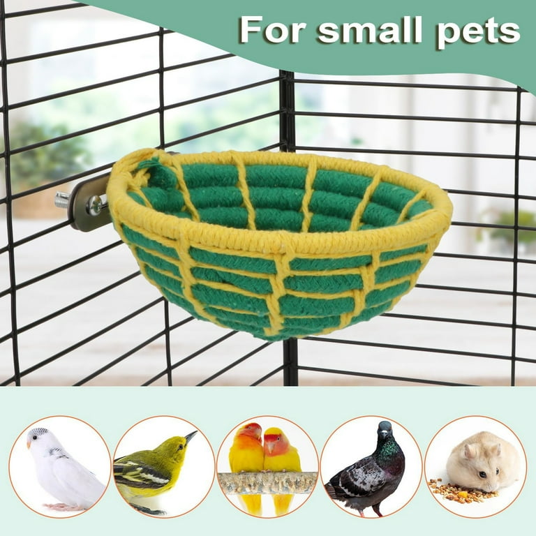 Pet supplies plus cat toys 2025