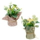 thumbnail image 2 of KAKOWELY 2 piezas de plantas artificiales decorativas de simulación de plantas en maceta, 2 of 4