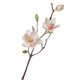 thumbnail image 1 of Flores de magnolia de EVA: realzan la belleza de los hogares, 1 of 7