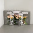 thumbnail image 5 of Clear Flower Handbag for DIY Floral Wrapping, Mother's Day Gift Packaging, Transparent Plastic Bag for Single Rose, Small Size A, 5 of 6