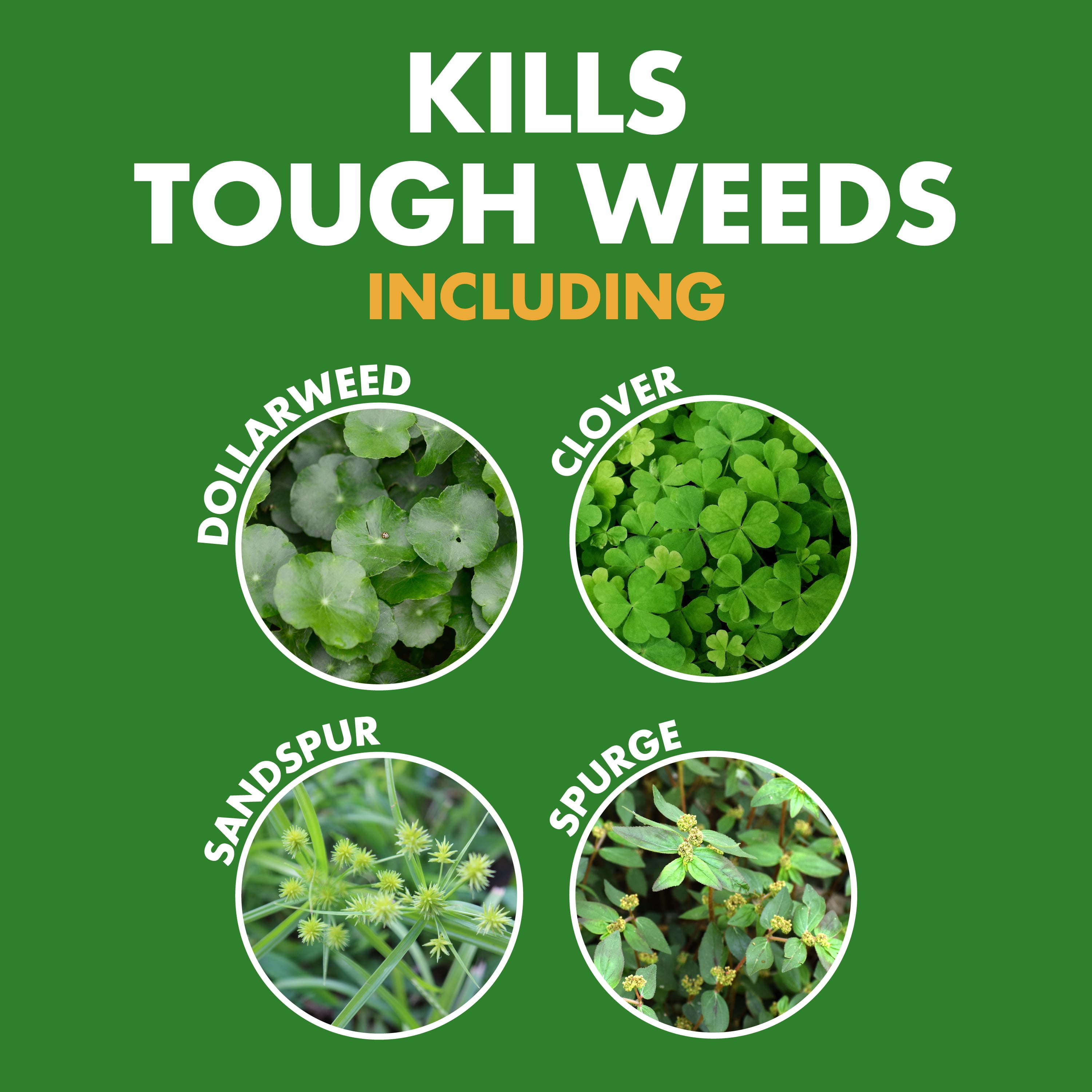 (2 pack) Spectracide Weed Stop For Lawns For St. Augustine & Centipede Lawns Concentrate, 32 Ounces