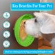 thumbnail image 5 of Cuenco de silicona para perros: cuenco interactivo de alimentación lenta con ventosa para aliviar el aburrimiento y la ansiedad. MFZFUKR CPB-US-YY1065-2, 5 of 5