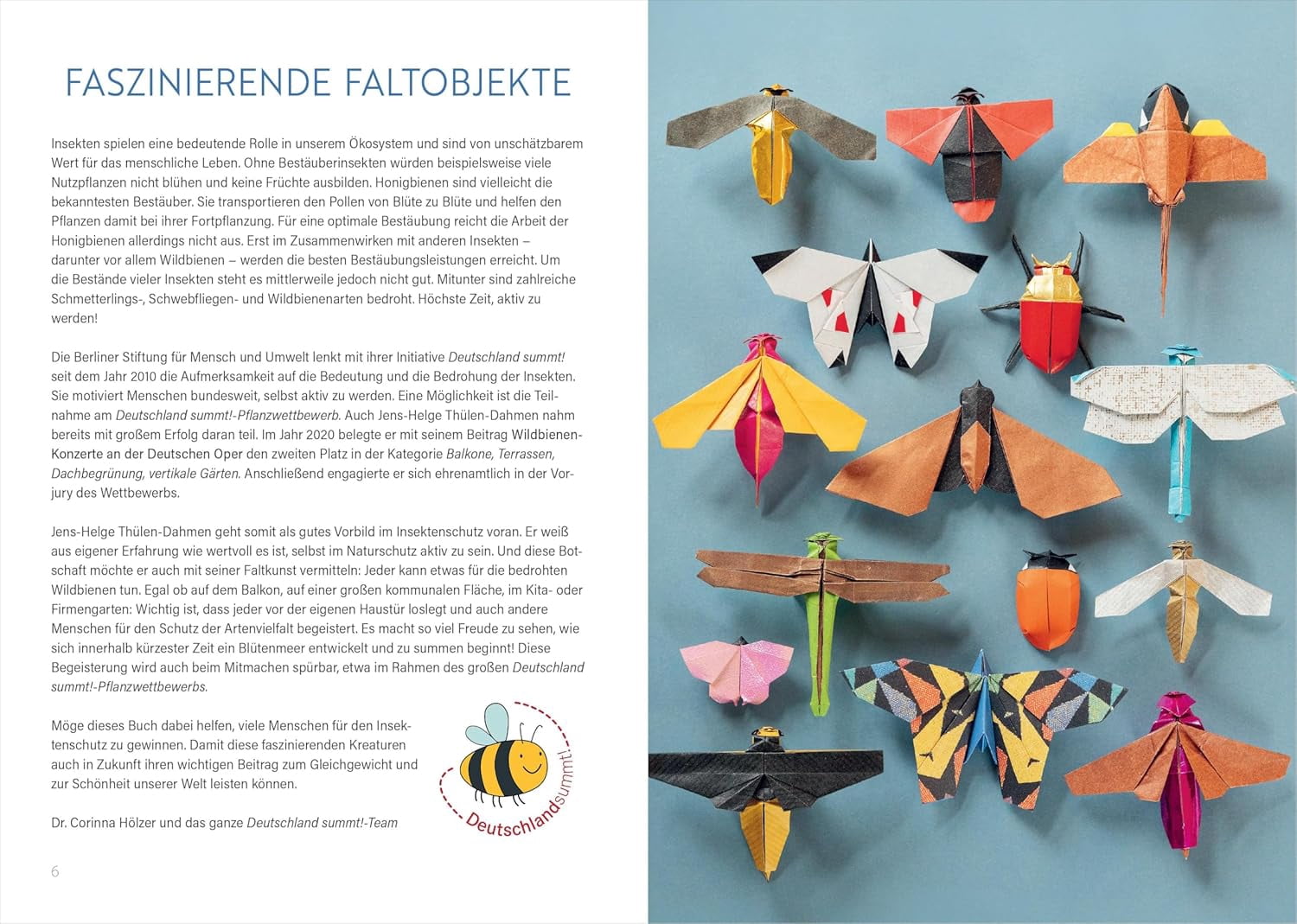 Jens-Helge Thülen- Origami: Bee, Bug und Butterfly: Zauberhafte Insekten zum Nachf (Paperback)