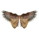 thumbnail image 2 of Disfraz de pájaro Vestir Eagle Owl Wing Photo para , Festival, Disfraces, , Juegos de rol Macarena Ala de vestuario, 2 of 7