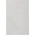 thumbnail image 4 of BoutiqueRugs Carpus Traditional Area Rug - Ivory, Light Gray, Pearl - 5' x 7'6", 4 of 6